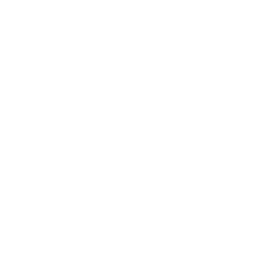 Sturmschadenbeseitigung Icon